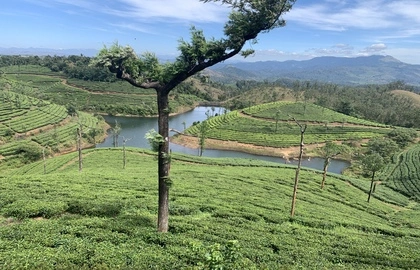 Day trip from Munnar covering Gap Road viewpoint, Anayirangal Dam with boating, and Chathurangapara hilltop for panoramic Western Ghats and sunset views.