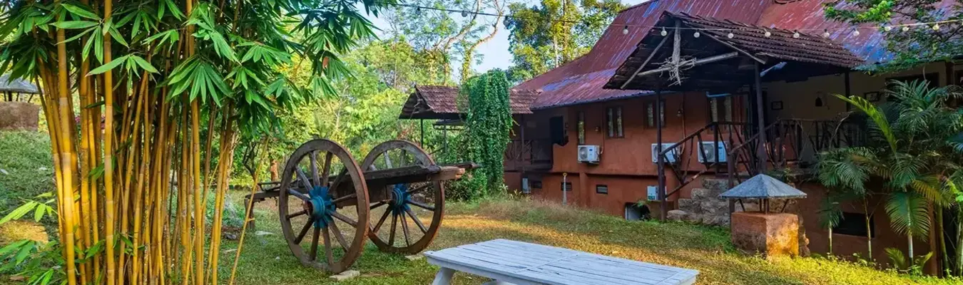 Beyond Eco Living