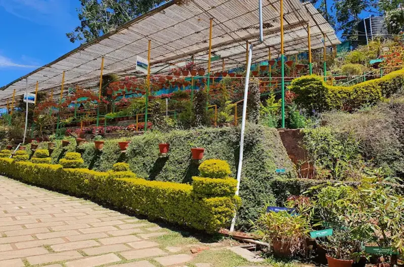 Rose-Gardens-Munnar