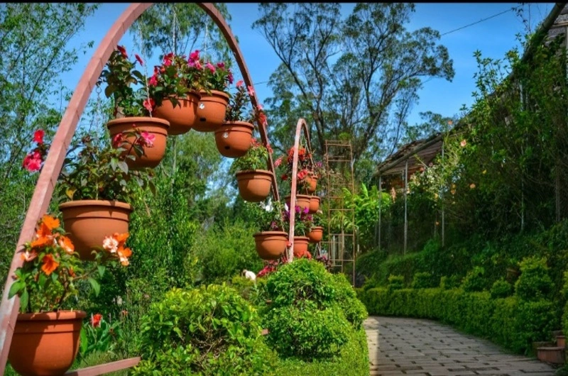 Rose-Gardens-Munnar