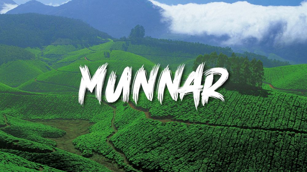 Munnar - Image 1